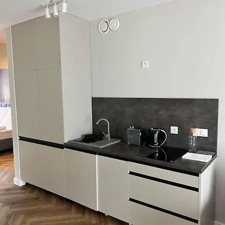 C4 Podgrzewany Basen Sauna, Nowy Revist Szklarska Apartament
