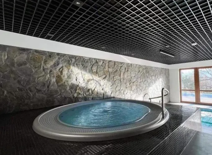 C4 Podgrzewany Basen Sauna, Nowy Revist Szklarska